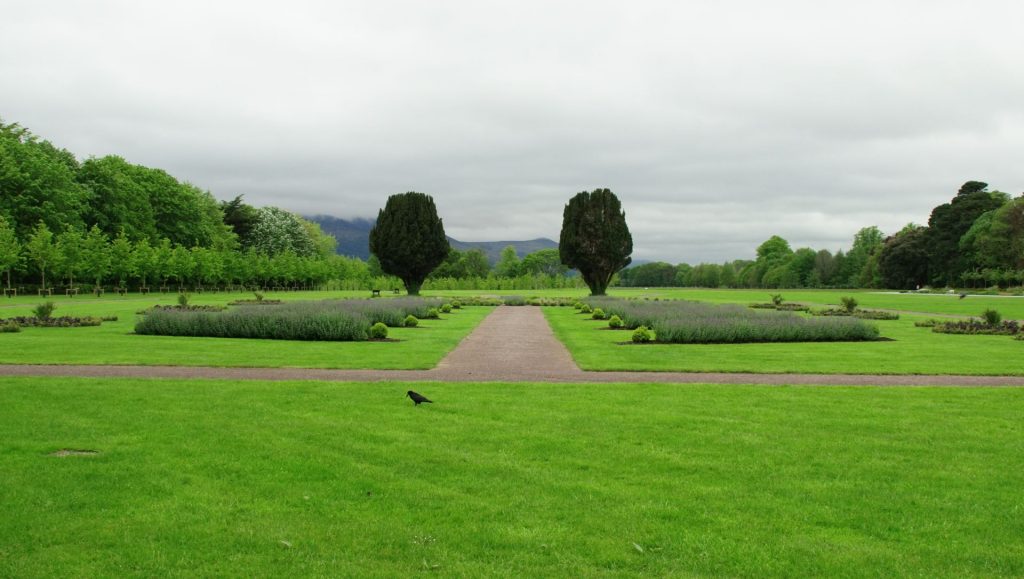 Killarney House Gardens blütenstil